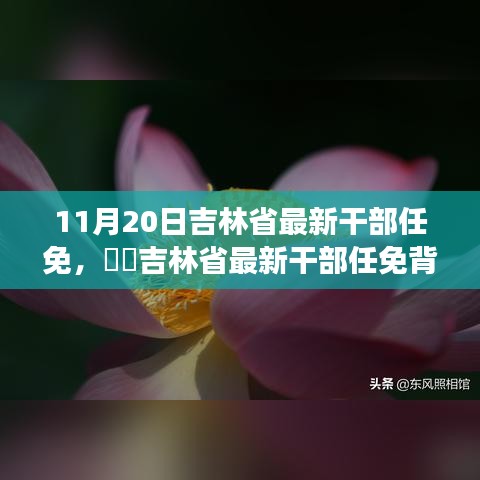 澳朗口腔医疗团队 第421页