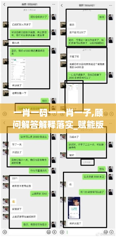 一肖一码一一肖一子,顾问解答解释落实_赋能版JEY5.62