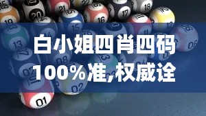 白小姐四肖四码100%准,权威诠释推进方式_穿戴版ZJZ8.39