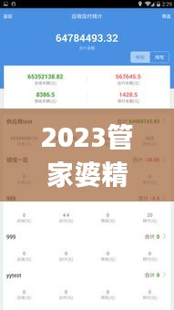 2023管家婆精准资料大全免费,快速执行方案实施_后台版SFH1.34