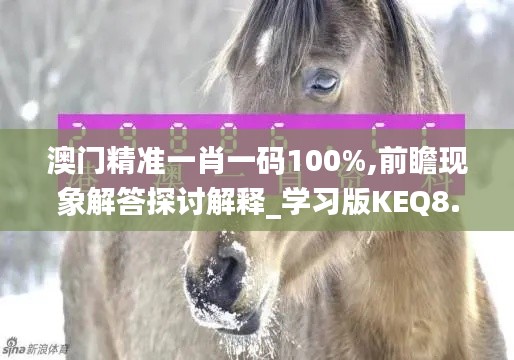 澳门精准一肖一码100%,前瞻现象解答探讨解释_学习版KEQ8.36