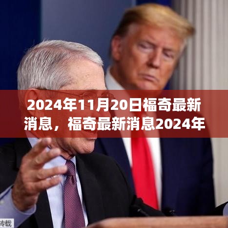 福奇最新动态，健康资讯更新与应对策略揭秘（2024年11月20日）