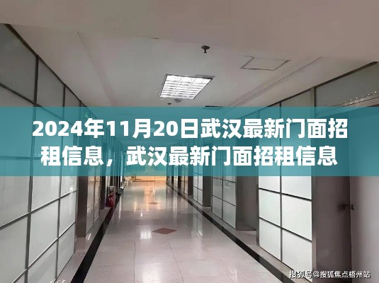 武汉最新门面招租信息解析及市场概览（2024年11月20日）