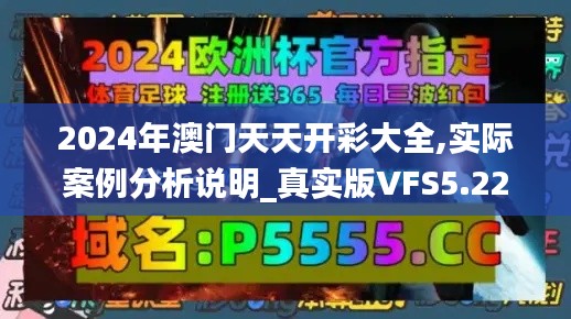 2024年澳门天天开彩大全,实际案例分析说明_真实版VFS5.22