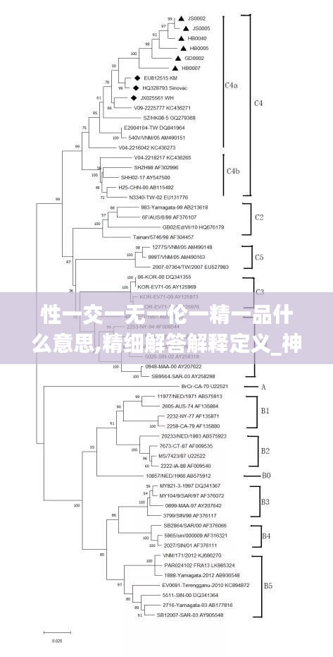 澳朗口腔医疗团队 第418页