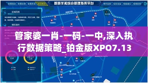 管家婆一肖-一码-一中,深入执行数据策略_铂金版XPO7.13