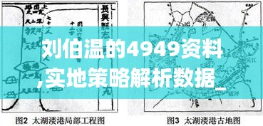 刘伯温的4949资料,实地策略解析数据_经济版ODB7.25