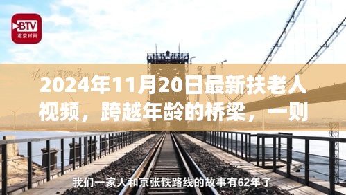 跨越年龄的桥梁，扶老人视频的力量与成长启示（2024年11月20日最新）