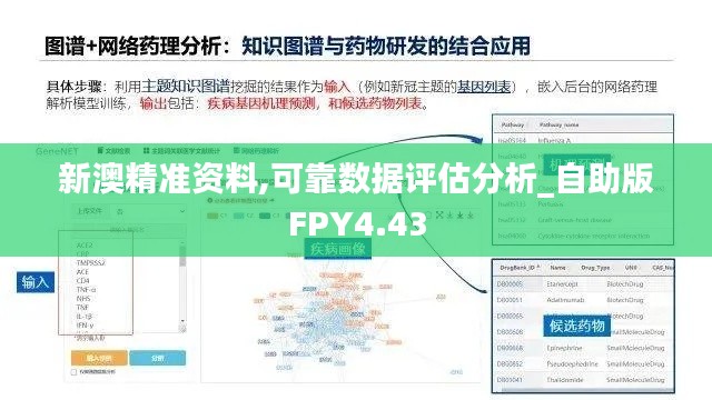 新澳精准资料,可靠数据评估分析_自助版FPY4.43