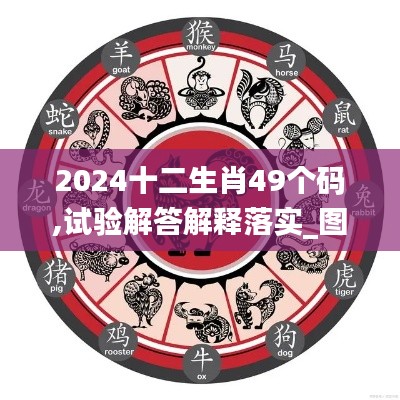 2024十二生肖49个码,试验解答解释落实_图形版JJB9.61