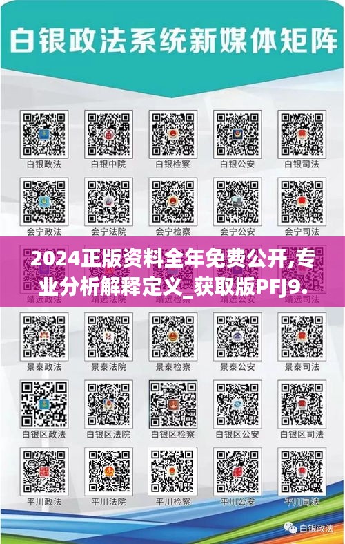 2024正版资料全年免费公开,专业分析解释定义_获取版PFJ9.73