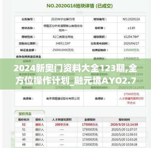 2024新奥门资料大全123期,全方位操作计划_融元境AYO2.74