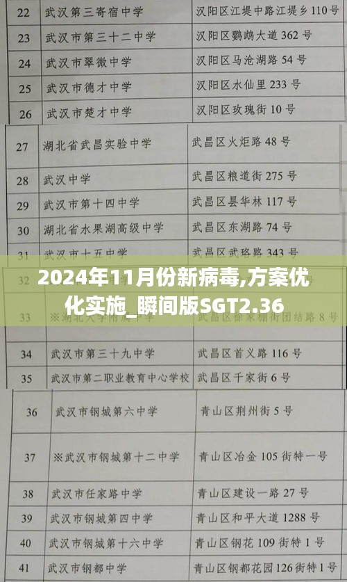 2024年11月份新病毒,方案优化实施_瞬间版SGT2.36