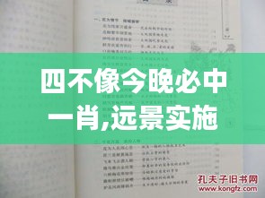 四不像今晚必中一肖,远景实施解释解答_文化版XBC9.73