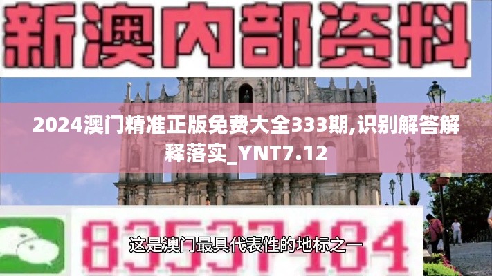 2024澳门精准正版免费大全333期,识别解答解释落实_YNT7.12