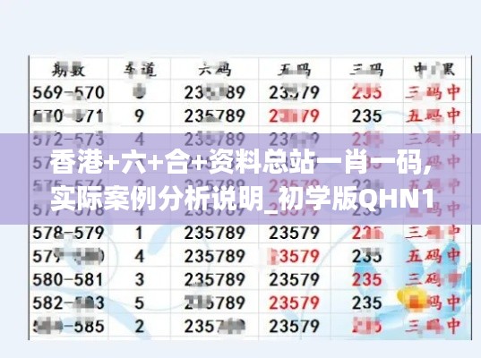 香港+六+合+资料总站一肖一码,实际案例分析说明_初学版QHN1.10