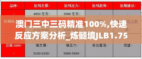 澳门三中三码精准100%,快速反应方案分析_炼髓境JLB1.75