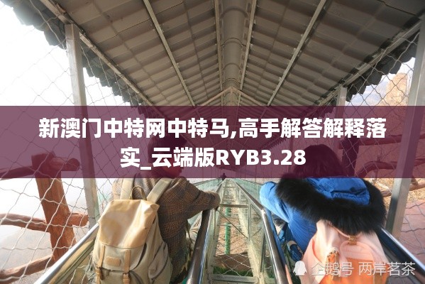 新澳门中特网中特马,高手解答解释落实_云端版RYB3.28