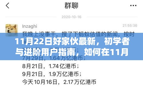 初学者与进阶用户指南，如何在11月22日掌握好家伙新技能