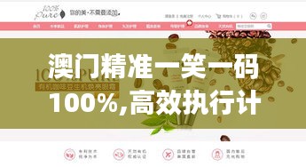 澳门精准一笑一码100%,高效执行计划落实_原汁原味版NMT1.10