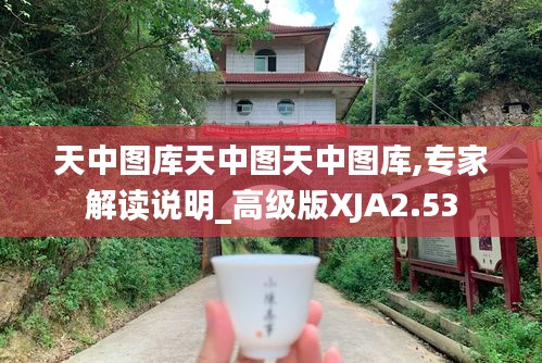 天中图库天中图天中图库,专家解读说明_高级版XJA2.53