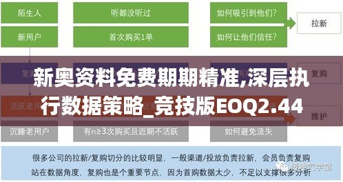 新奥资料免费期期精准,深层执行数据策略_竞技版EOQ2.44