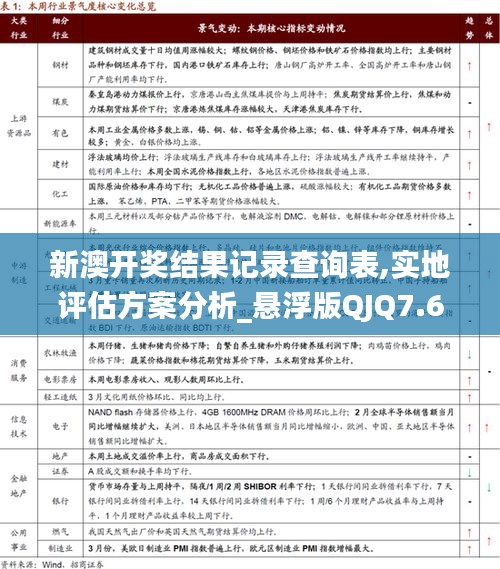 新澳开奖结果记录查询表,实地评估方案分析_悬浮版QJQ7.67