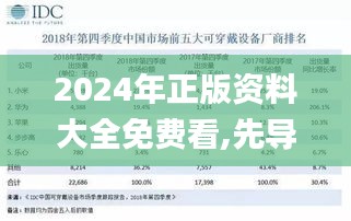 2024年正版资料大全免费看,先导解答解释落实_可穿戴设备版YRG7.78