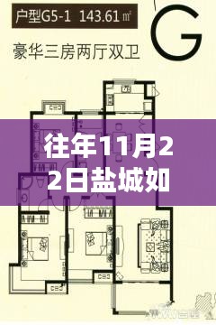 盐城如意花园历年11月22日房价回顾与揭秘，最新动态及影响因素分析