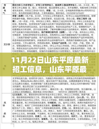 山东平原最新高科技招工信息亮相，引领未来生活风潮，体验科技魅力！