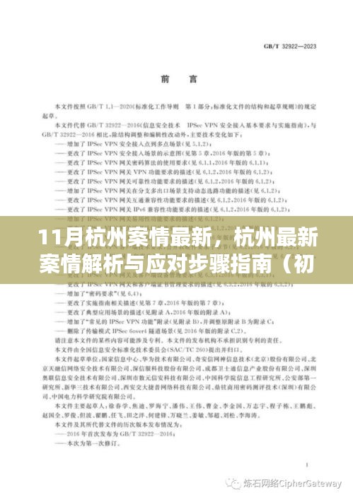 杭州案情最新解析与应对指南，初学者到进阶用户的必备指南（11月更新）