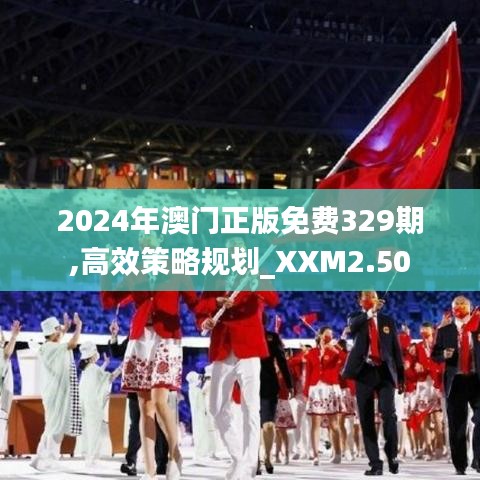 2024年澳门正版免费329期,高效策略规划_XXM2.50