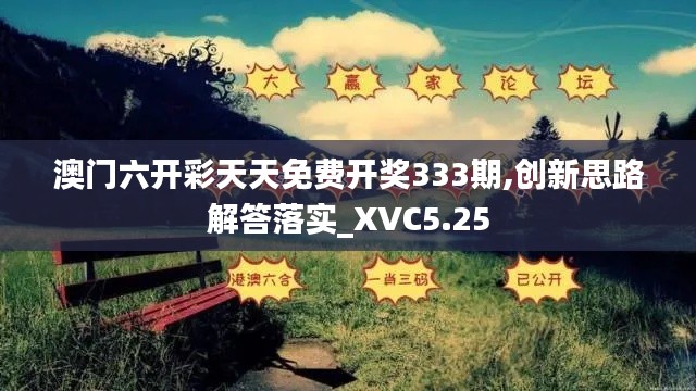 澳门六开彩天天免费开奖333期,创新思路解答落实_XVC5.25