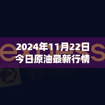 2024年11月22日原油市场最新行情分析与步骤指南