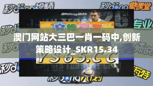 澳门网站大三巴一肖一码中,创新策略设计_SKR15.34