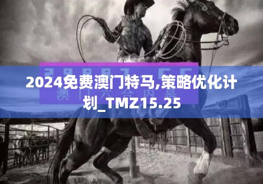 2024免费澳门特马,策略优化计划_TMZ15.25