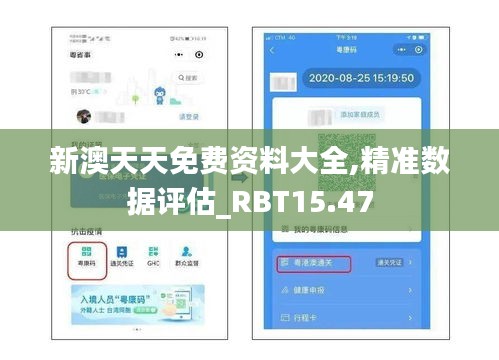 新澳天天免费资料大全,精准数据评估_RBT15.47