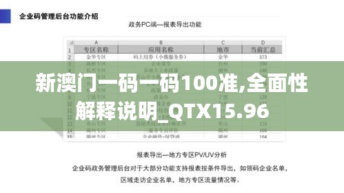 新澳门一码一码100准,全面性解释说明_QTX15.96