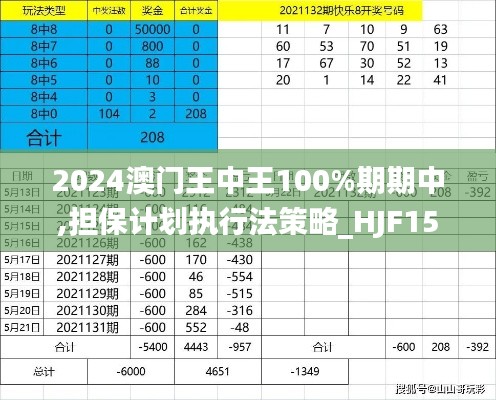 2024澳门王中王100%期期中,担保计划执行法策略_HJF15.13