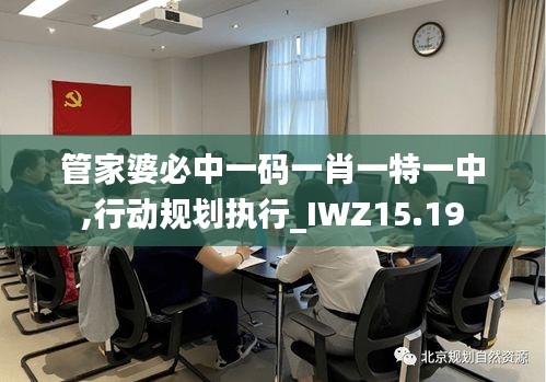 管家婆必中一码一肖一特一中,行动规划执行_IWZ15.19