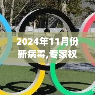 2024年11月份新病毒,专家权威解答_XIQ15.60