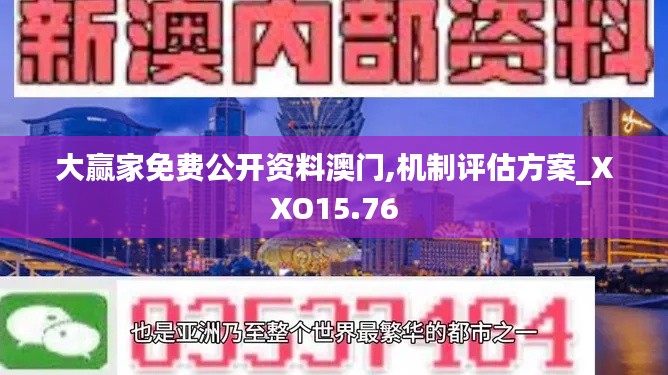 大赢家免费公开资料澳门,机制评估方案_XXO15.76