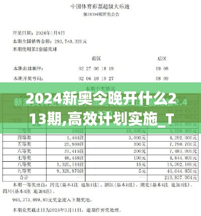 2024新奥今晚开什么213期,高效计划实施_TBC15.72