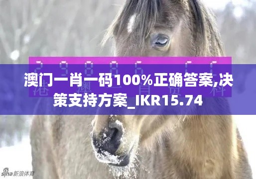 澳门一肖一码100%正确答案,决策支持方案_IKR15.74