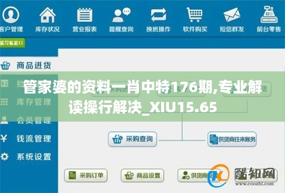 管家婆的资料一肖中特176期,专业解读操行解决_XIU15.65