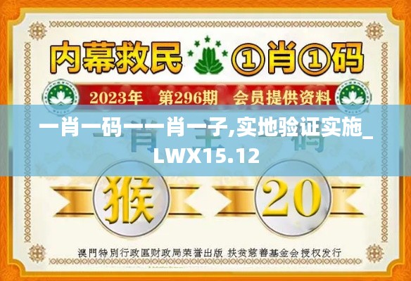 一肖一码一一肖一子,实地验证实施_LWX15.12