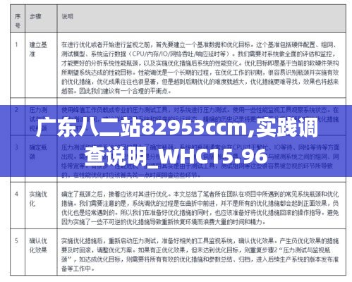 广东八二站82953ccm,实践调查说明_WHC15.96