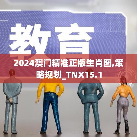 2024澳门精准正版生肖图,策略规划_TNX15.1