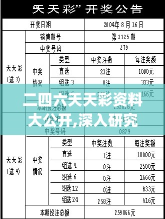 二四六天天彩资料大公开,深入研究执行计划_ESL15.88