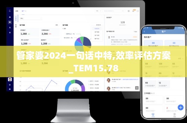 管家婆2024一句话中特,效率评估方案_TEM15.78